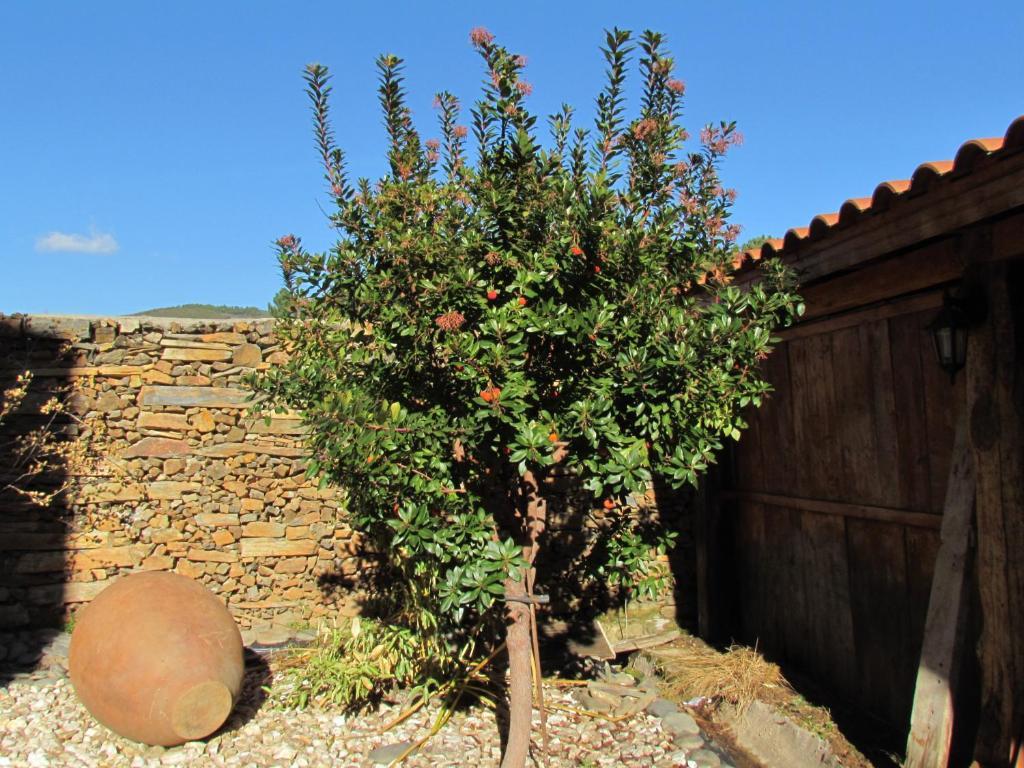 Apartamentos Rurales Azabal חדר תמונה